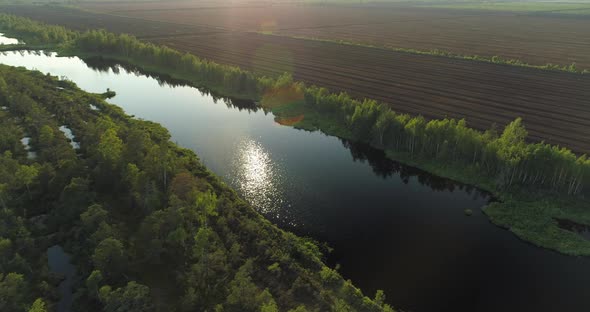 Aerial View of Bog Forest with Lake and Transition Line To Peat Harvesting Field alt