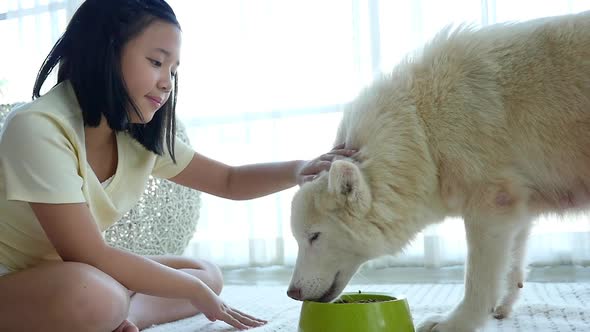 Cute Asian Girl Feeding White Siberian Husky Dog alt