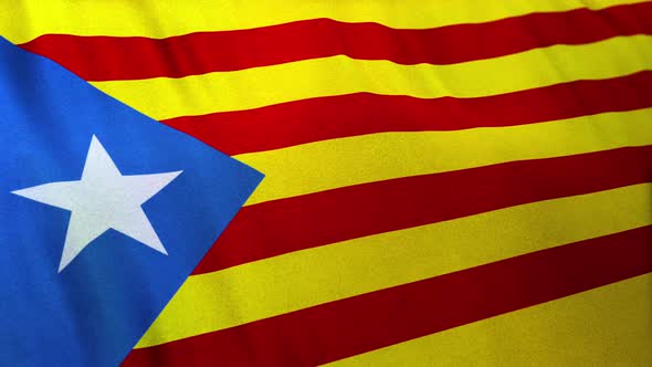 Flag of the Estelana Blava and Catalonia Independency Banner