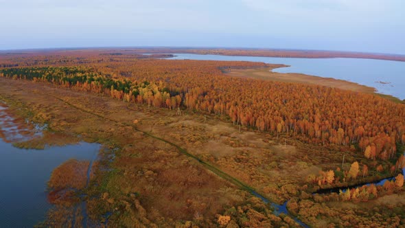 Aerial Top View of Beautiful Lake Surrounded By Colorful Forest in Autumn