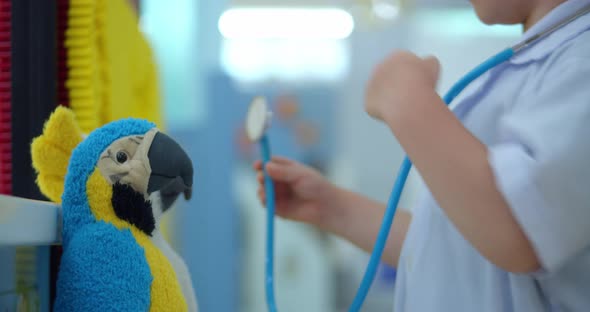 Cute Preschool Boy Kid Wearing White Medical Uniformlistening to Pets Breathingparrots and Toy alt
