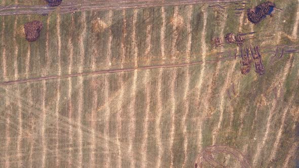 Agricultural Field with Heaps of Manure or Droppings Aerial View alt