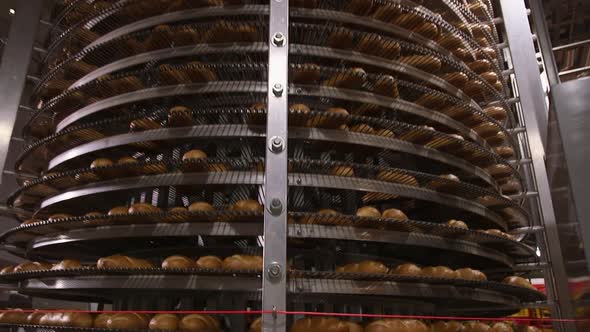 Automatic Line for the Production of Bakery Products with a Loaf on a Conveyor Belt