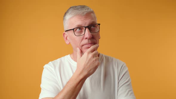 Middle Age Handsome Greyhaired Man Thinking About Question Doubtful Expression