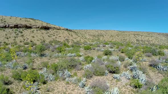 The Karoo South Africa alt