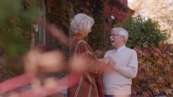 Handsome senior couple embracing in autumn park