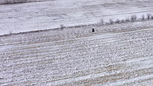 bald eagle overhead flight winter slow motion alt
