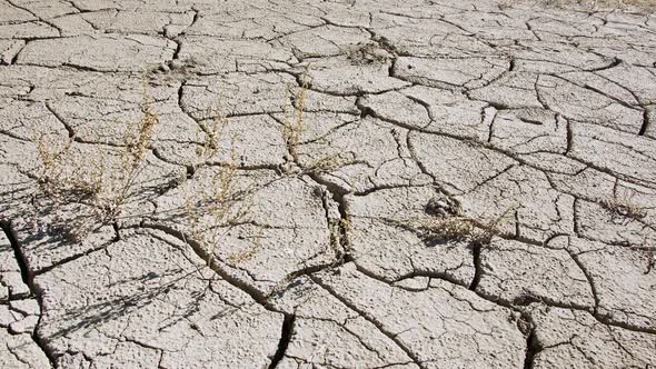 Panning over dry mud cracks during drought in 2021 alt