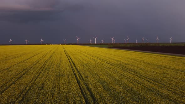 Wind Farms in Agricultural Fields