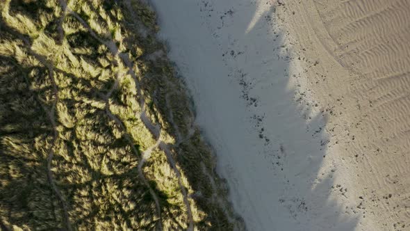 Top-down aerial view over marram grass anchored dunes and Irish beach alt