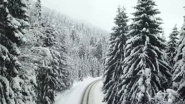 Road in the winter forest, Winter country road with fir forest on the side alt