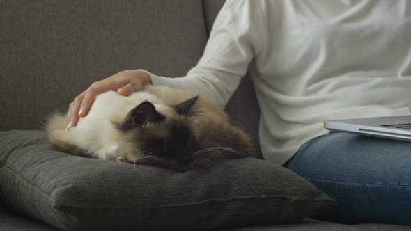 Woman cuddling her cat