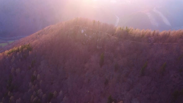 Aerial Shot Deciduous Spring Forest Illuminated By the Setting Sun