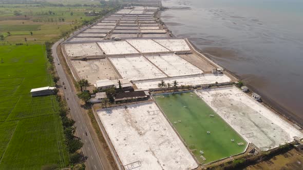 Shrimp Farming in Indonesia alt