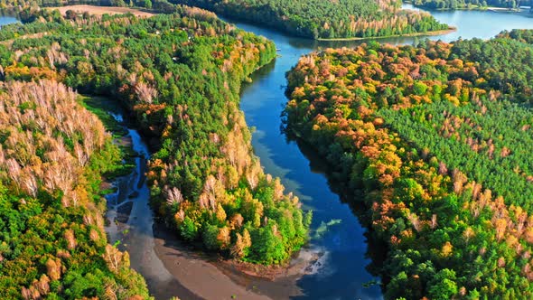 Forest and winding river in autumn. Aerial view of wildlife. alt
