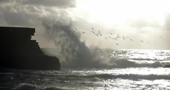 Skyline Seascape with Flying Sea-gulls and Ancient Wall alt