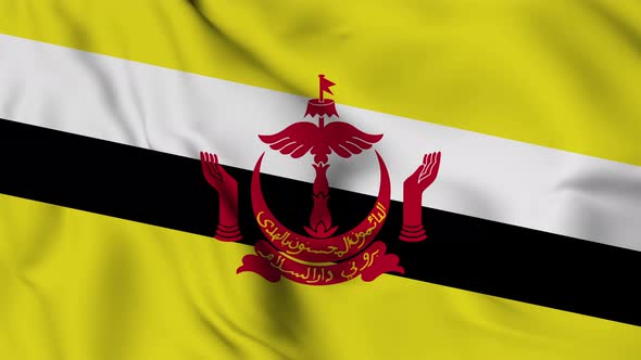Brunei flag seamless closeup waving animation