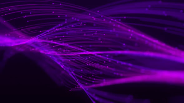 Internet Trails Crossing Purple