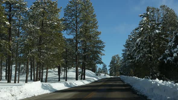 Snow in Wintry Forest Driving Auto Road Trip in Winter Utah USA