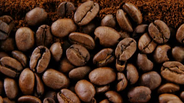 Coffee beans on coffee powder alt