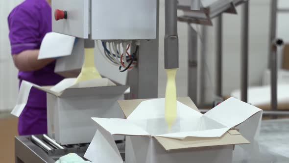 The Process of Packing the Oil or Spread Into the Box. The Machine Collects Oil Into the Box and the alt
