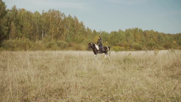 Equestrian Tourism. A Secluded and Peaceful Horse Ride Through Picturesque Fields and Forests Under alt