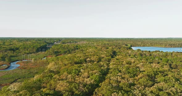 Panoramic Landscape with Lake Near the Forest alt