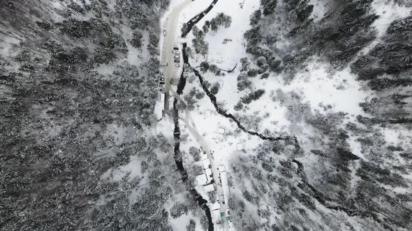 Aerial Photography of a Forest Covered with Snow