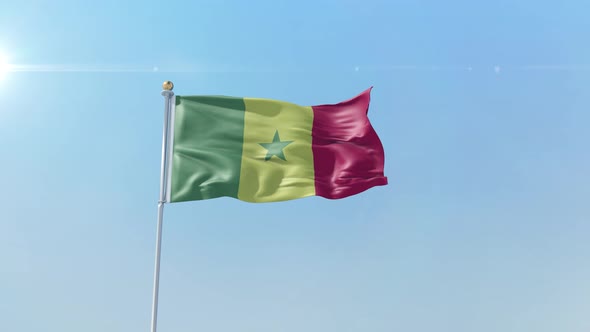 Senegal Flag  alt