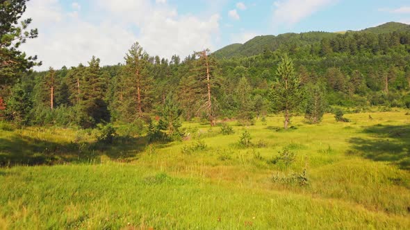 Background Aerial View Of Green Caucasus Nature In Georgia alt