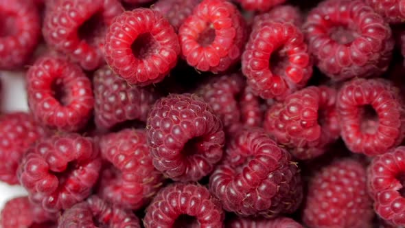 Close Up Rotation Loopable Berry alt