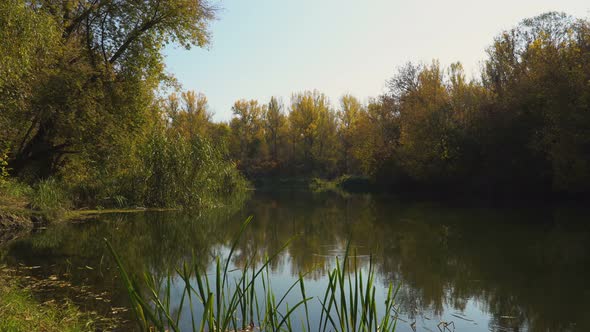 Early Autumn on River