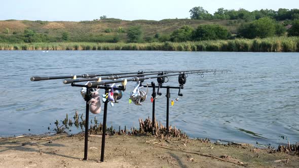 Carp Fishing Rods with Carp Bite Indicators and Reels Set Up on Rod Pod on a Background of Lake or alt