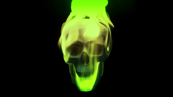 Green Flaming Skull On Black alt
