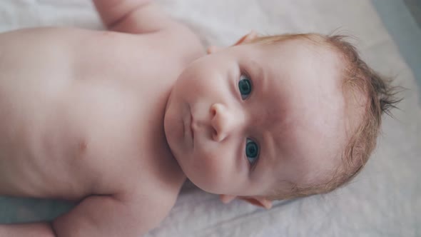 Infant Boy with Blond Hair and Blue Eyes Looks at Camera alt