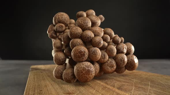 Shimeji Mushrooms 03 alt