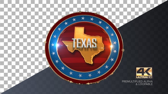 Texas United States of America State Map with Flag 4K