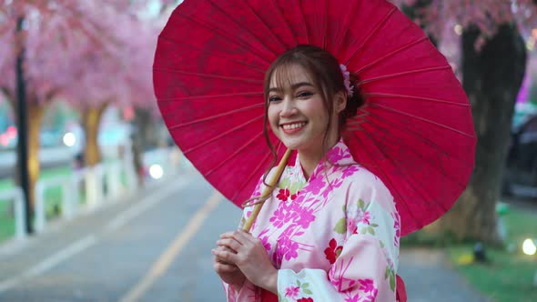 uren visdom Venture woman in yukata (kimono dress) holding umbrella and looking sakura flower  or cherry blossom blooming, Stock Footage