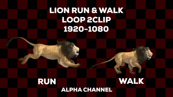 Lion Walk Run 2 Clip Loop