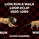 Lion Walk Run 2 Clip Loop - VideoHive Item for Sale