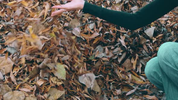 Close up of a female hand throwing dry golden leaves in autumn garden alt