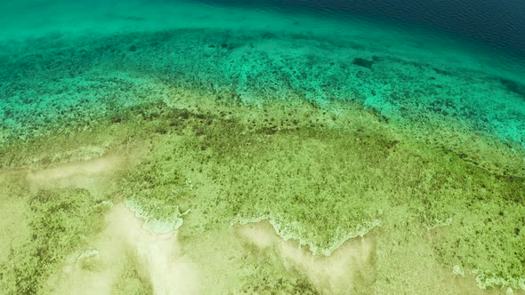 Tropical Landscape with Blue Sea and Coral Reef alt