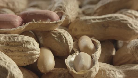 Closeup of fresh peanuts