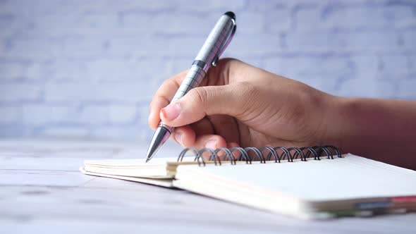 Close Up of Women Hand Writing on Notepad alt