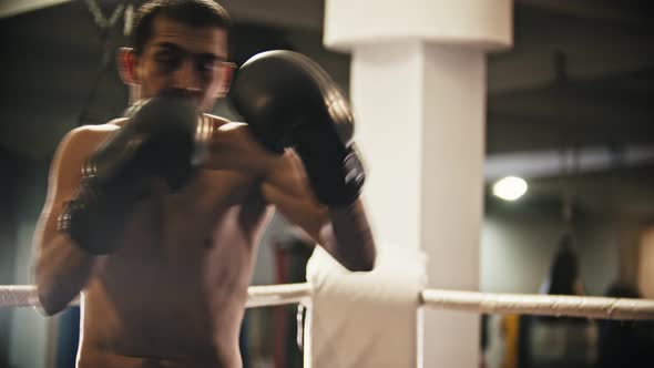 Shadow Fighting on the Ring alt