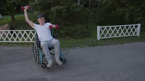 Old Man on Wheelchair Does Exercises with Dumbbells alt