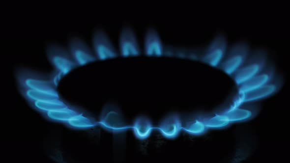 Gas Ignition on the Burner on a Dark Background Closeup alt