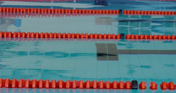 Swimmers diving into the pool alt
