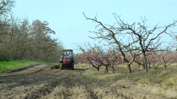 Red Tractor Ploughs Soil with Special Equipment in Orchard