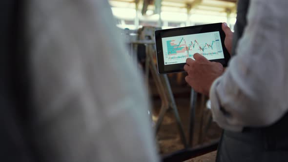 Farm Owner Hands Holding Tablet in Cowshed Closeup alt